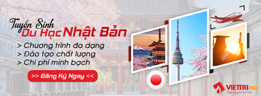 TRUNG TÂM TƯ VẤN DU HỌC VIỆT TRÍ MD - CÔNG TY CP HỢP TÁC ĐT&PT NGUỒN NHÂN LỰC VIỆT NAM